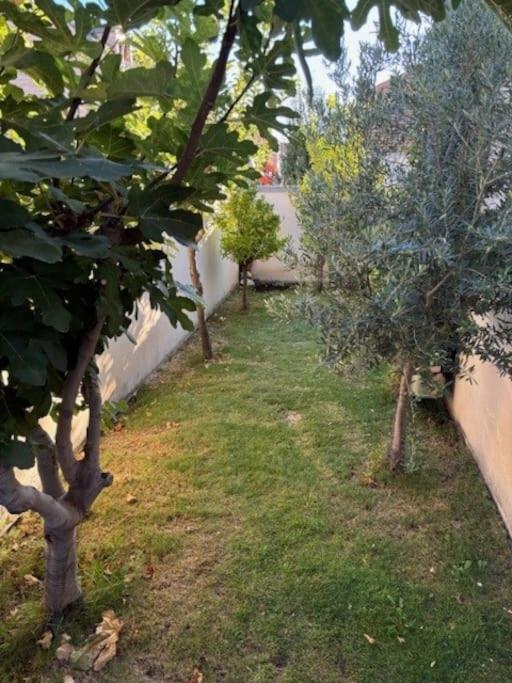 Estupenda Casa Compartida De Arquitecto! Villa Madrid Kültér fotó